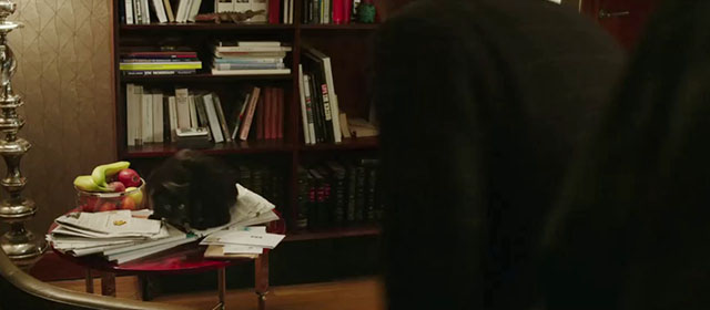 The Fifth Estate - black cat Schmitt on newspapers on table being chased off by Edgar Selge