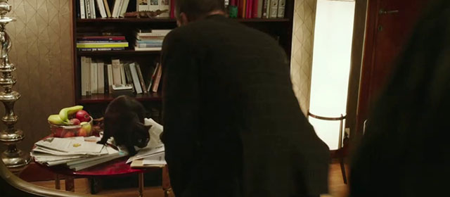 The Fifth Estate - black cat Schmitt on newspapers on table being chased off by Edgar Selge