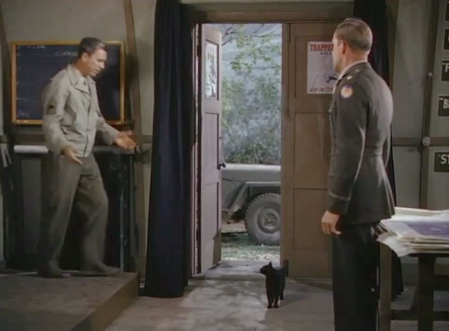 Fighter Squadron - black cat entering room with Dolan Tom D'Andrea and Gilbert Shepperd Strudwick