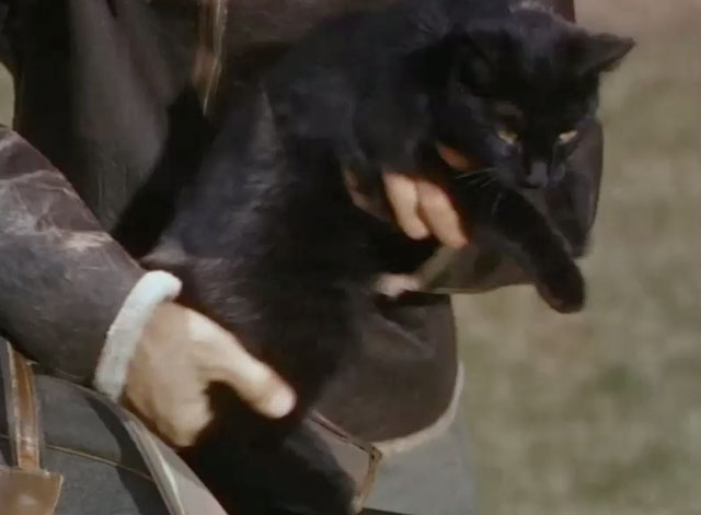 Fighter Squadron - black cat being placed in bag