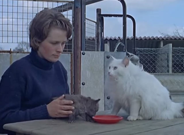 Film Star Animals - female trainer with baby fox and long-haired white and tabby cat