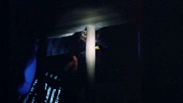 Final Hour - Sidste Time - brown tabby cat barely visible outside grating