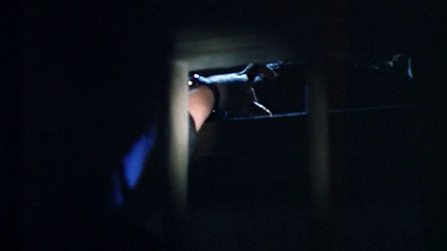 Final Hour - Sidste Time - brown tabby cat walking away from grating