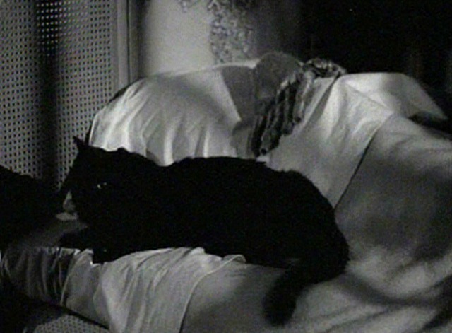 Fingers at the Window - black cat on bed close
