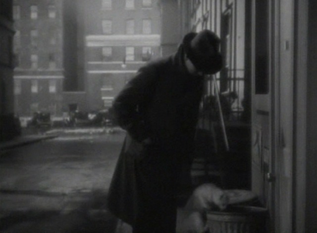 Finishing School - dirty white cat jumps up to eat out of garbage can