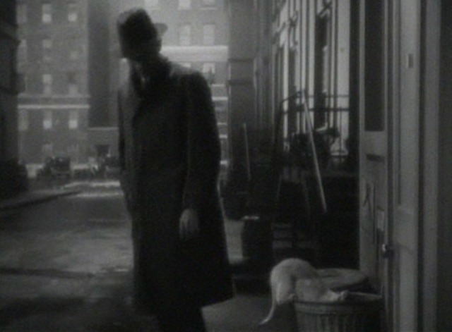 Finishing School - dirty white cat jumps up to eat out of garbage can as man walks away