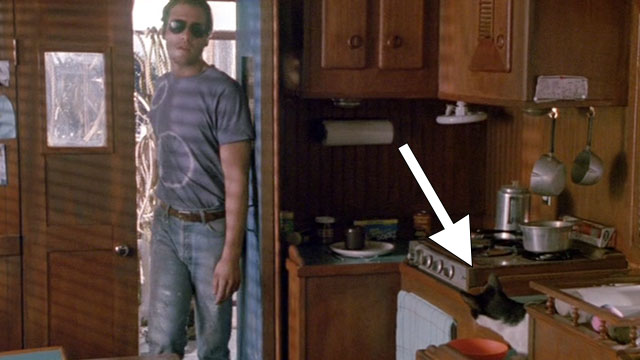 Fires Within - Sam Vincent D'Onofrio entering boat and tuxedo cat eating from bowl