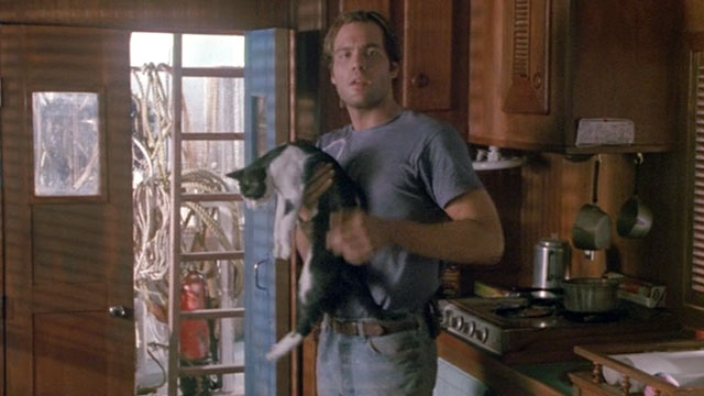 Fires Within - Sam Vincent D'Onofrio picking up tuxedo cat