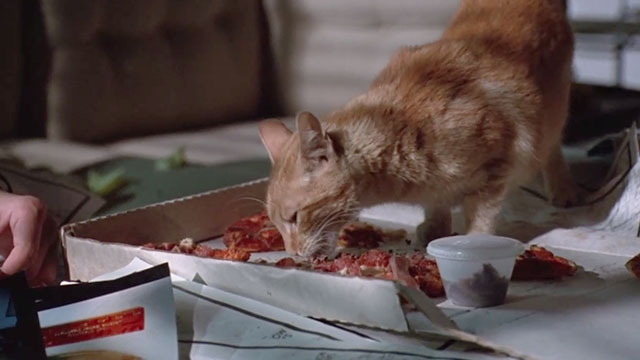 The First Power - ginger tabby cat Jack eating pizza from box