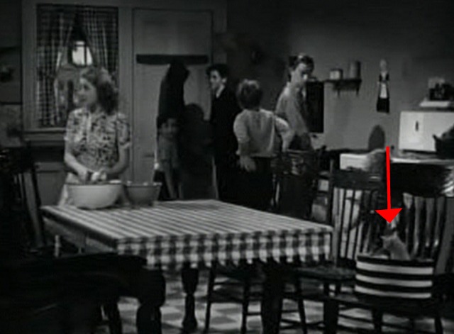 Five Little Peppers and How They Grew - kitten sitting in hatbox in foreground