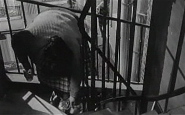 Five Miles to Midnight - Madame Duval with calico cat on stairs