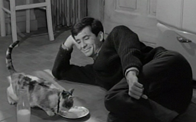 Five Miles to Midnight - Anthony Perkins next to calico cat drinking milk