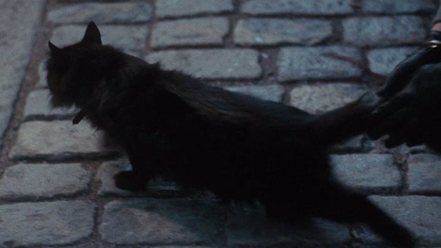 Flight of the Eagle - black cat Buster on cobblestone street