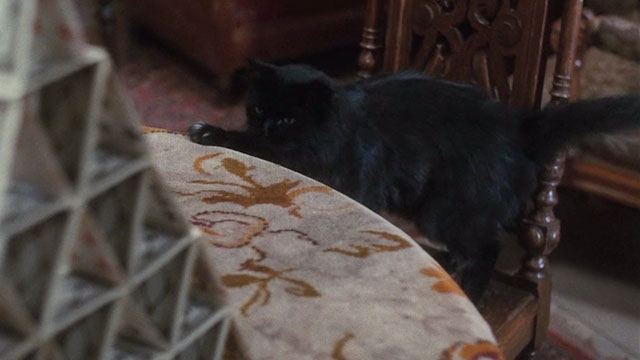 Flight of the Eagle - black cat Buster on chair looking at house of cards on table