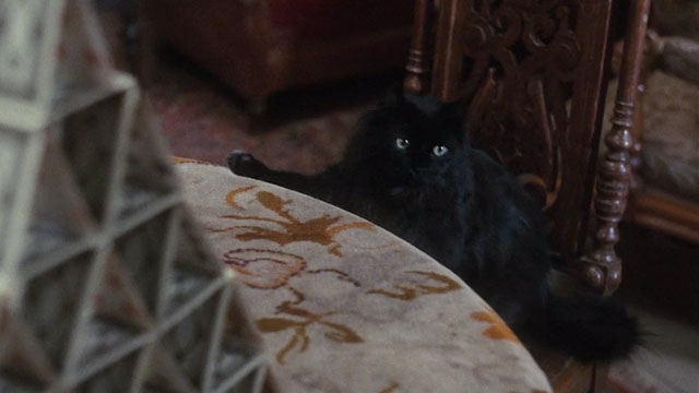 Flight of the Eagle - black cat Buster on chair with paw on table