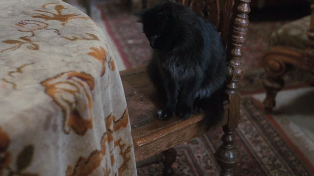 Flight of the Eagle - black cat Buster on chair looking at table