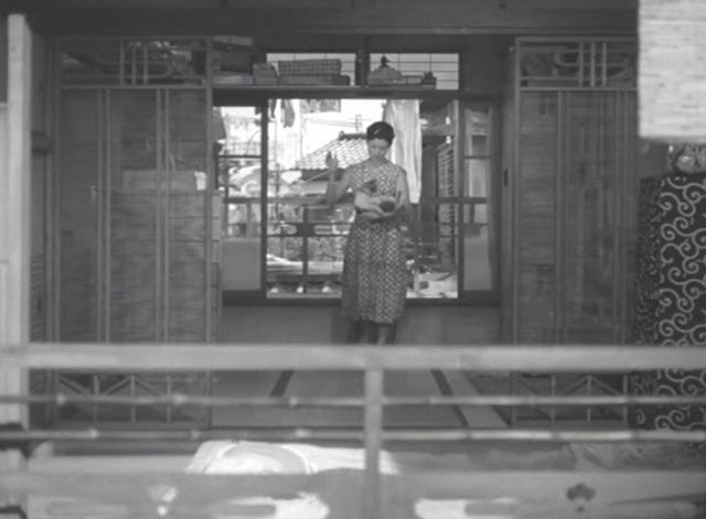 Flowing - daughter carrying calico Japanese Bobtail Ponko outside