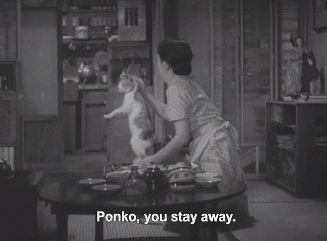 Flowing - maid tossing calico Japanese Bobtail Ponko aside