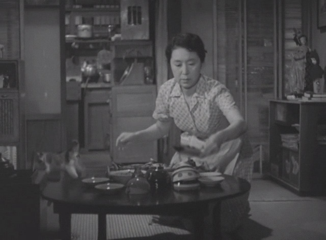 Flowing - calico Japanese Bobtail Ponko walking away from maid