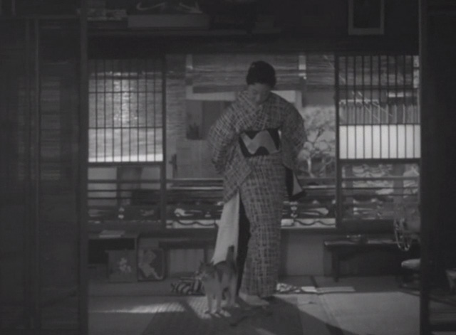 Flowing - calico Japanese Bobtail Ponko standing by geisha