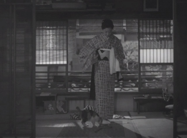 Flowing - calico Japanese Bobtail Ponko standing by geisha