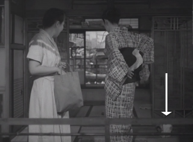 Flowing - calico Japanese Bobtail Ponko on porch behind women