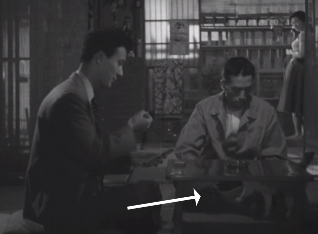 Flowing - calico Japanese Bobtail Ponko approaching man