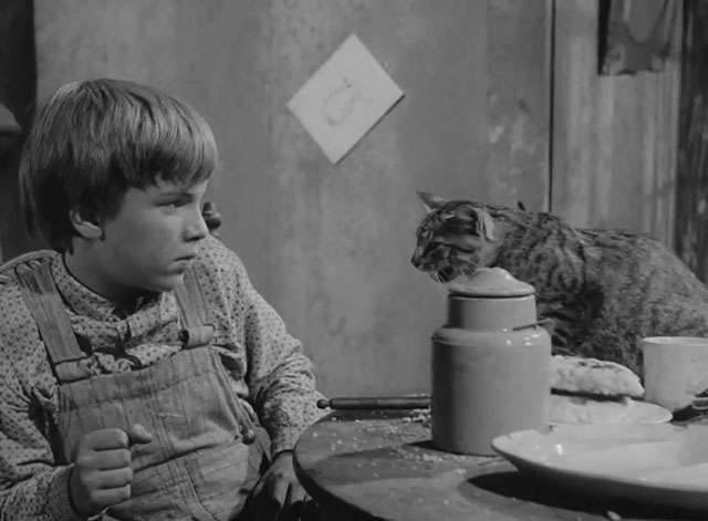 The Fool Killer - tabby cat panting on table with George Edward Albert
