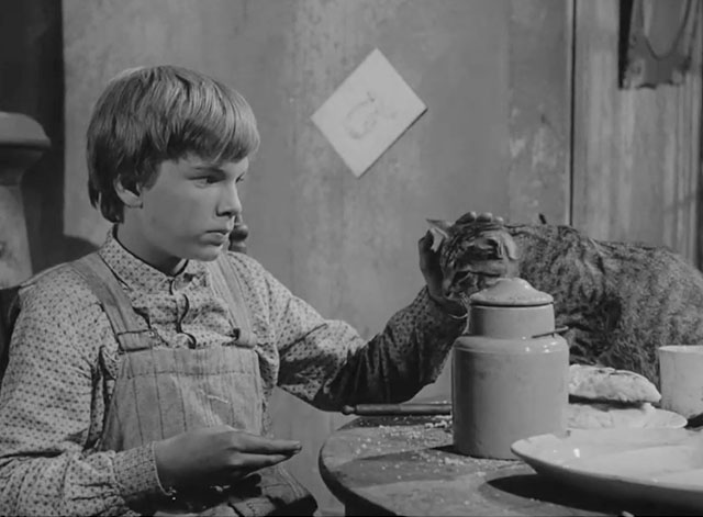 The Fool Killer - tabby cat panting on table with George Edward Albert