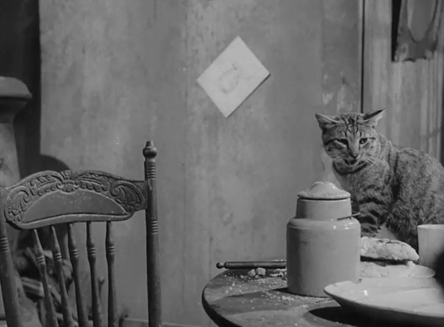 The Fool Killer - tabby cat panting on table