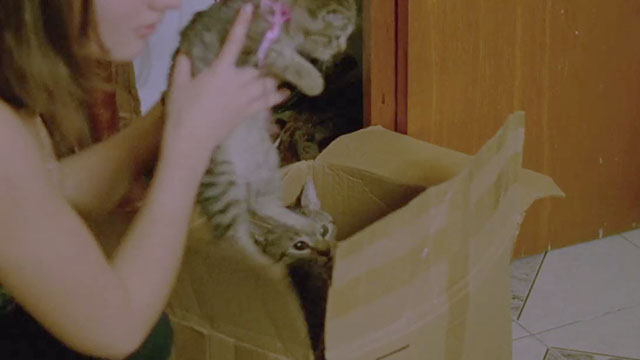 Forever's Gonna Start Tonight - Sonya Viktoria Vinyarska placing tabby cat and kittens in cardboard box