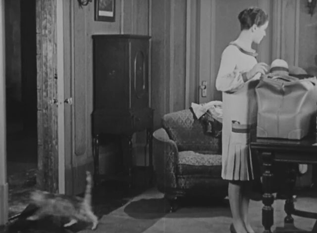 Forgotten Sweeties - longhair tabby cat running from room behind Shirley Palmer
