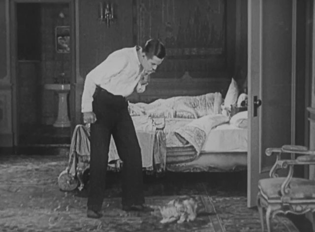 Forgotten Sweeties - longhair tabby cat with Thurston Charley Chase looking down