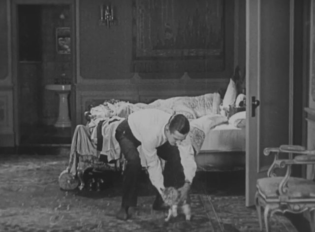 Forgotten Sweeties - longhair tabby cat picked up by Thurston Charley Chase