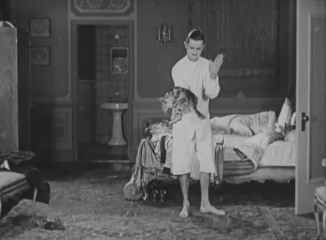 Forgotten Sweeties - Thurston Charley Chase about to paddle longhair tabby cat