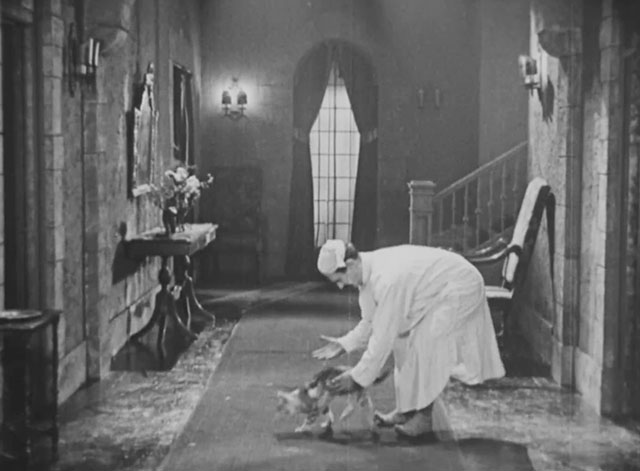 Forgotten Sweeties - neighbor James Finlayson releasing longhair tabby cat in hallway