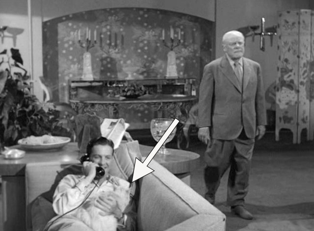 For Heaven's Sake - Jeff Robert Cunnings on phone on couch holding silver Persian cat with Arthur Edmund Gwenn
