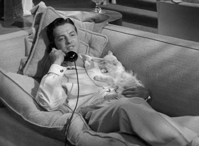 For Heaven's Sake - Jeff Robert Cunnings on phone on couch holding silver Persian cat