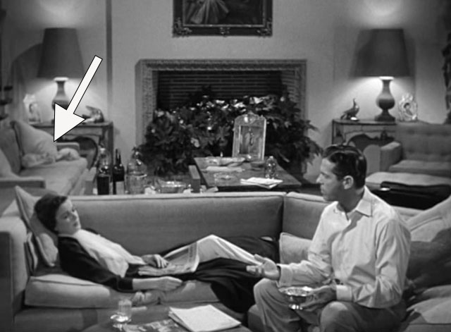 For Heaven's Sake - Jeff Robert Cunnings and Lydia Joan Bennett on couch with silver Persian cats Alfred and Lynn in background