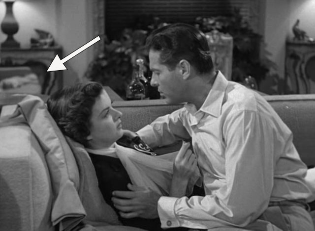 For Heaven's Sake - Jeff Robert Cunnings and Lydia Joan Bennett on couch with silver Persian cats Alfred and Lynn in background