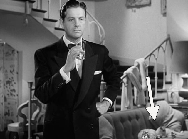 For Heaven's Sake - Jeff Robert Cunnings with silver Persian cats Alfred and Lynn on couch in background