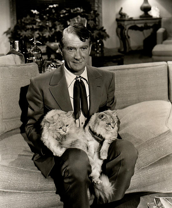 For Heaven's Sake - Charles Slim Clifton Webb sitting on couch with silver Persian cats Alfred and Lynn Carole