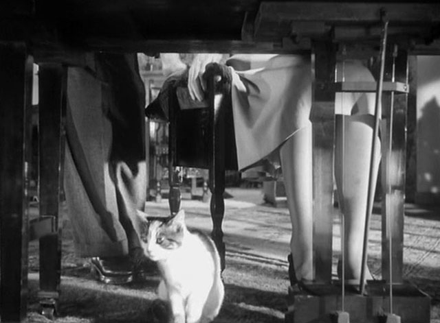 Four Days - calico tabby cat beneath piano