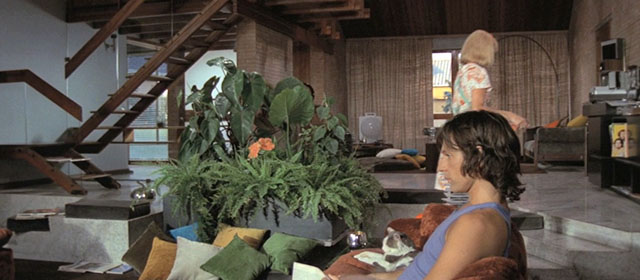 Four Flies on Grey Velvet - 4 mosche di velluto grigio - longhair grey and white cat sitting on couch with Roberto Michael Brandon