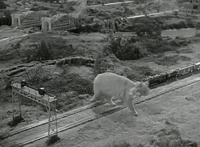 Four's a Crowd - longhaired tabby cat walking away from model railroad track
