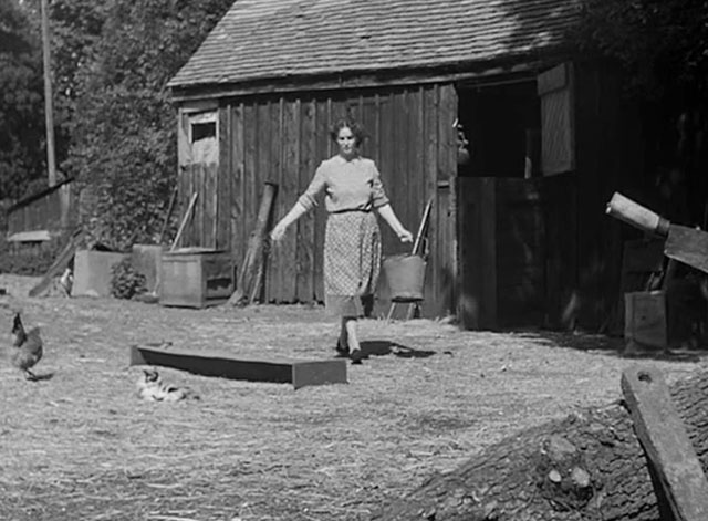 Four Sided Triangle - Mrs. Leggett feeding chickens with calico cat preening nearby