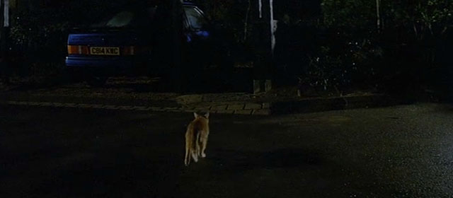 The Fourth Protocol - ginger cat running across courtyard