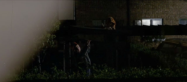 The Fourth Protocol - boy trying to reach ginger cat on top of pergola