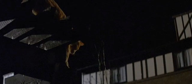 The Fourth Protocol - ginger cat jumping down from pergola