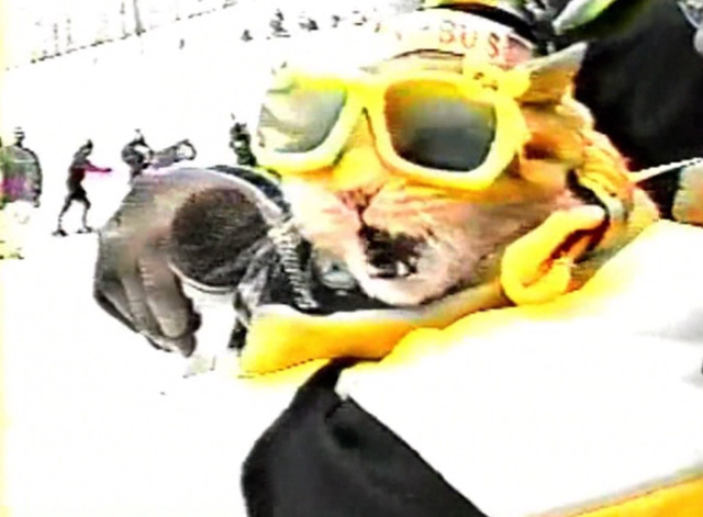 Frankie and the Wondercat - Pudgie Wudgie orange tabby cat interviewed in snow